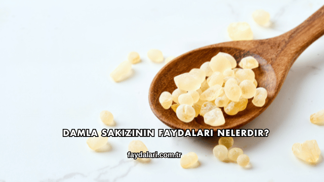 Damla Sakızının Faydaları Nelerdir?