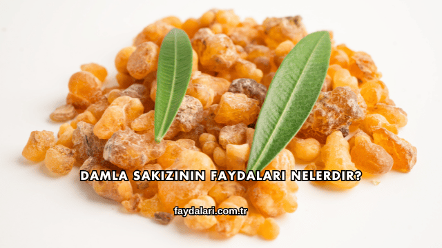 Damla Sakızının Faydaları Nelerdir?