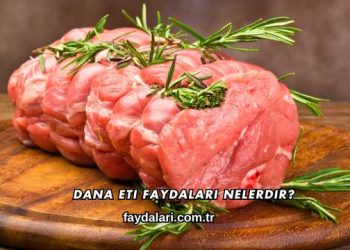 Dana Eti Faydaları Nelerdir?