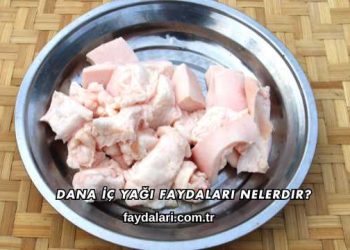 Dana İç Yağı Faydaları Nelerdir?