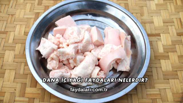 Dana İç Yağı Faydaları Nelerdir?