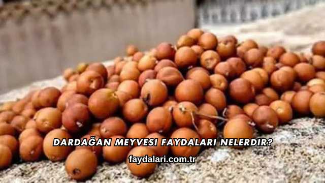 Dardağan Meyvesi Faydaları Nelerdir?