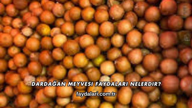 Dardağan Meyvesi Faydaları Nelerdir?