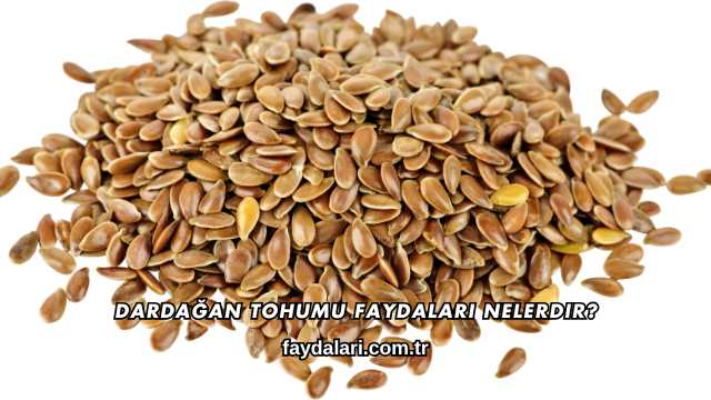 Dardağan Tohumu Faydaları Nelerdir?
