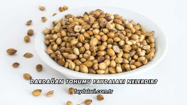 Dardağan Tohumu Faydaları Nelerdir?