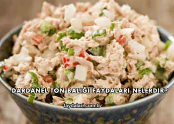Dardanel Ton Balığı Faydaları Nelerdir?