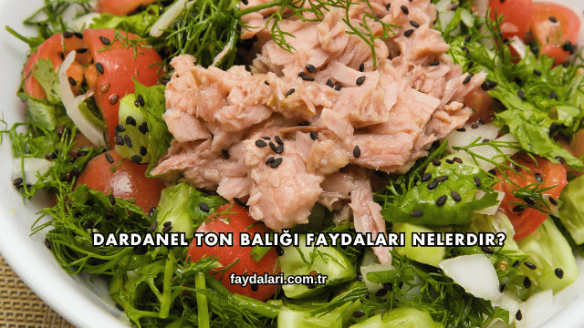 Dardanel Ton Balığı Faydaları Nelerdir?