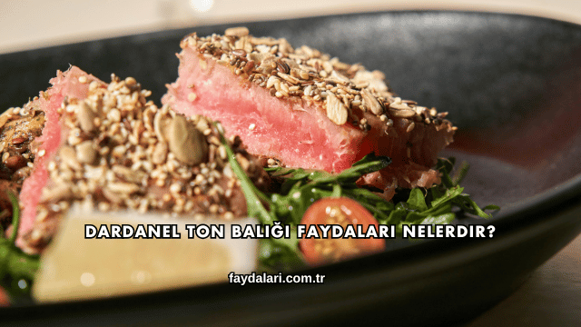 Dardanel Ton Balığı Faydaları Nelerdir?