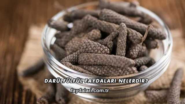 Darülfülfül Faydaları Nelerdir?