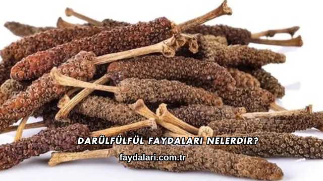 Darülfülfül Faydaları Nelerdir?