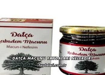 Datça Macunu Faydaları Nelerdir?