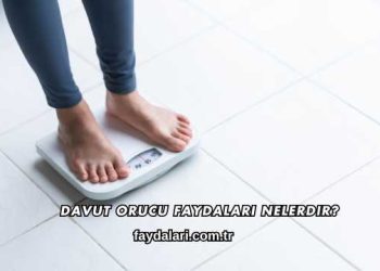 Davut Orucu Faydaları Nelerdir?