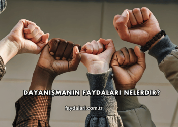 Dayanışmanın Faydaları Nelerdir?