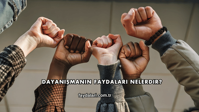 Dayanışmanın Faydaları Nelerdir?