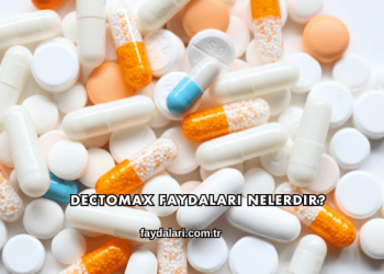 Dectomax Faydaları Nelerdir?