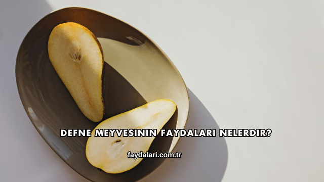 Defne Meyvesinin Faydaları Nelerdir?