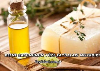 Defne Sabununun Yüze Faydaları Nelerdir?