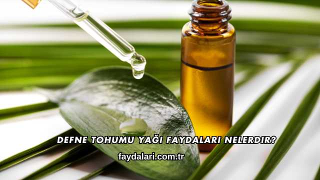Defne Tohumu Yağı Faydaları Nelerdir?