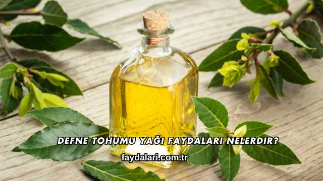 Defne Tohumu Yağı Faydaları Nelerdir?