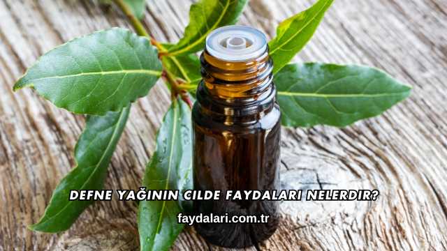 Defne Yağının Cilde Faydaları Nelerdir?