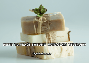 Defne Yaprağı Sabunu Faydaları Nelerdir?