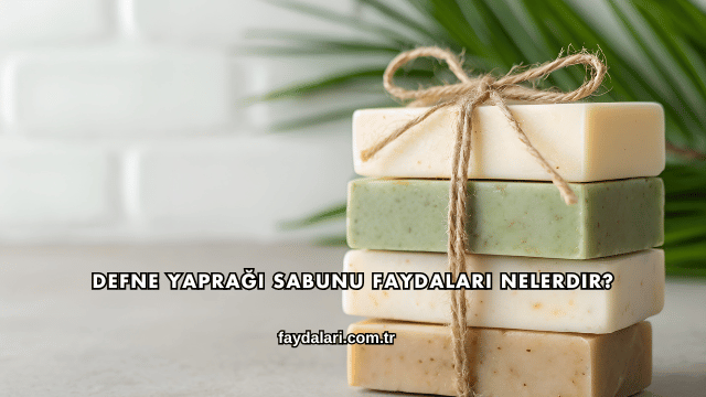 Defne Yaprağı Sabunu Faydaları Nelerdir?