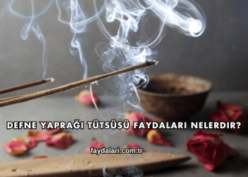 Defne Yaprağı Tütsüsü Faydaları Nelerdir?