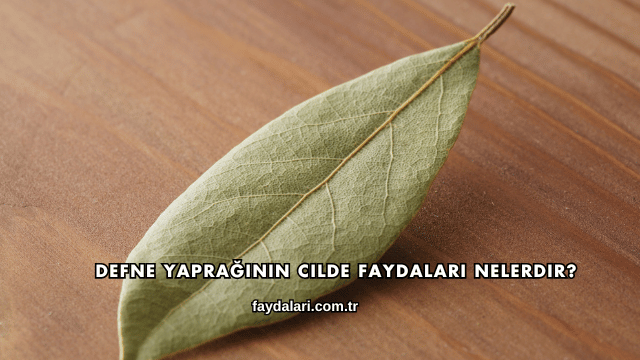 Defne Yaprağının Cilde Faydaları Nelerdir?