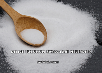 Delice Tuzunun Faydaları Nelerdir?