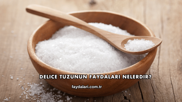 Delice Tuzunun Faydaları Nelerdir?