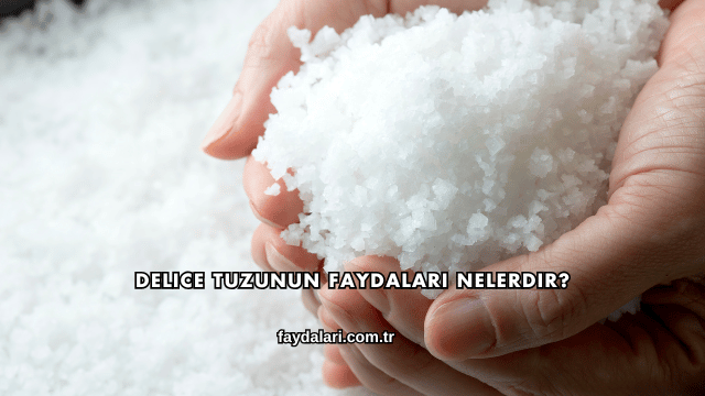 Delice Tuzunun Faydaları Nelerdir?