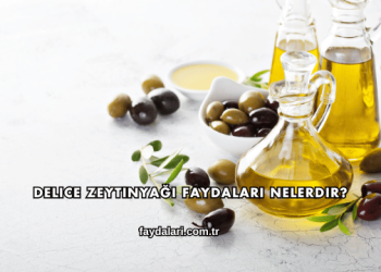 Delice Zeytinyağı Faydaları Nelerdir?