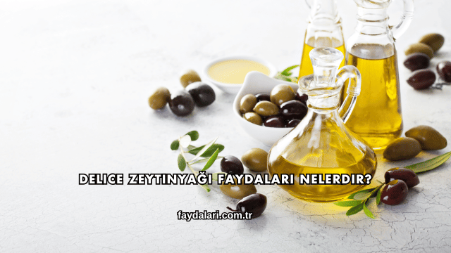 Delice Zeytinyağı Faydaları Nelerdir?