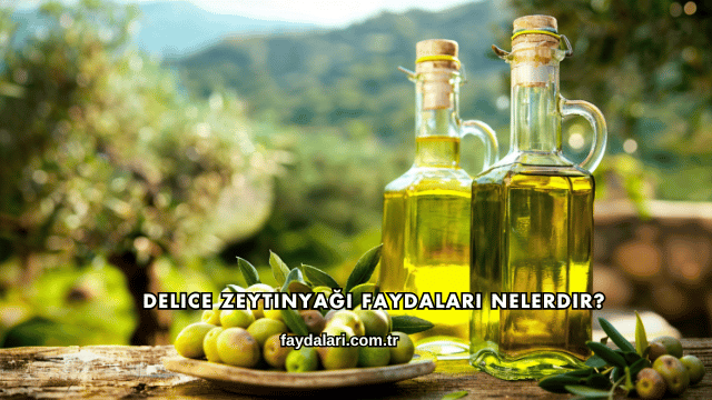 Delice Zeytinyağı Faydaları Nelerdir?