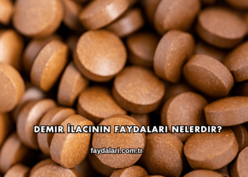 Demir İlacının Faydaları Nelerdir?
