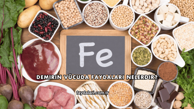 Demirin Vücuda Faydaları Nelerdir?