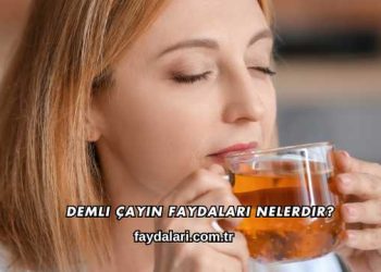 Demli Çayın Faydaları Nelerdir?