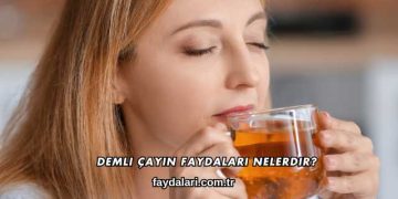 Demli Çayın Faydaları Nelerdir?
