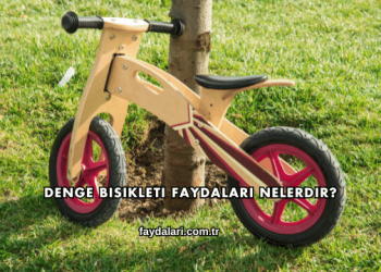 Denge Bisikleti Faydaları Nelerdir?
