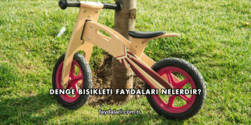 Denge Bisikleti Faydaları Nelerdir?