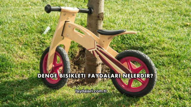 Denge Bisikleti Faydaları Nelerdir?