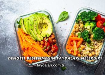 Dengeli Beslenmenin Faydaları Nelerdir?