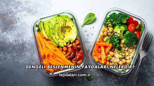 Dengeli Beslenmenin Faydaları Nelerdir?
