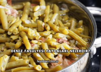 Deniz Fasulyesi Faydaları Nelerdir?