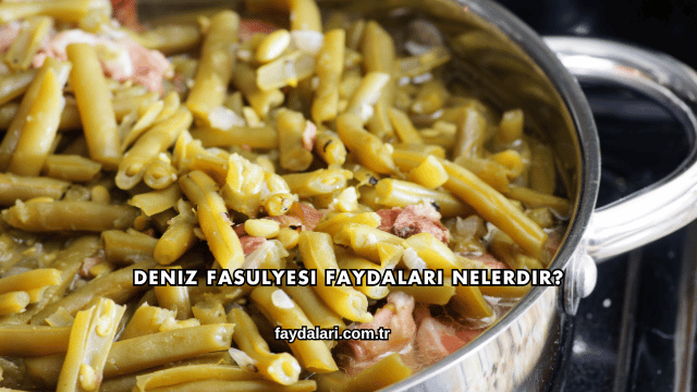 Deniz Fasulyesi Faydaları Nelerdir?