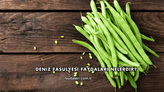 Deniz Fasulyesi Faydaları Nelerdir?