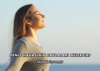 Deniz Havasının Faydaları Nelerdir?