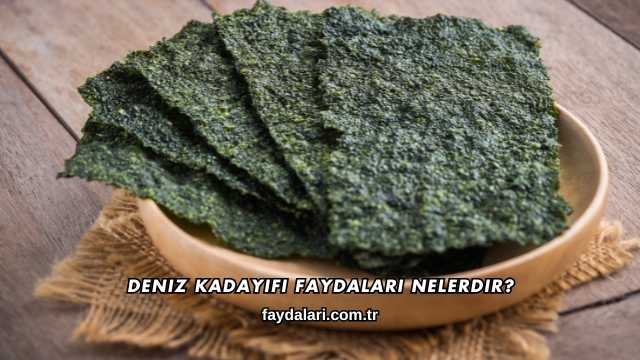 Deniz Kadayıfı Faydaları Nelerdir?