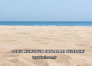 Deniz Kumunun Faydaları Nelerdir?