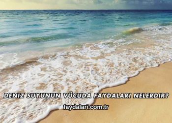 Deniz Suyunun Vücuda Faydaları Nelerdir?